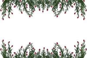 branches de une Naturel Noël arbre avec rouge épine-vinette baies sur une blanc Contexte. isolé image. Noël arbre branches Cadre photo