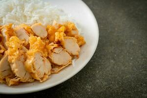 riz garni de poulet frit avec trempette photo