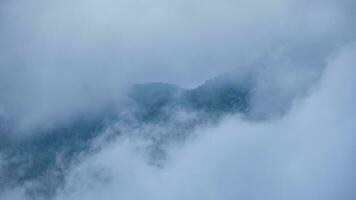 aérien vue de tropical forêt avec brouillard dans le Matin. Haut vue de drone de magnifique Montagne tropical forêt pendant hiver dans Thaïlande. Naturel paysage Contexte. photo