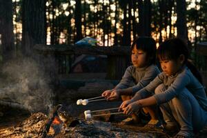 mignonnes petites soeurs rôtissant des guimauves sur un feu de camp. enfants s'amusant au feu de camp. camping avec enfants dans la pinède d'hiver. famille heureuse en vacances dans la nature. photo