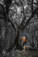 écologiste féminine étudiant les plantes de la forêt touchant le tronc avec les mains. femme scientifique de l'environnement explorant les plantes de la forêt tropicale. les botanistes travaillent sur des relevés de terrain. photo