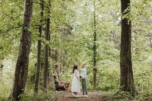 mariage marcher dans le forêt. le la mariée et jeune marié Regardez à chaque autre, grand des arbres près eux. pays mariage concept. large angle photo. photo