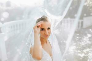 mariage portrait de le la mariée. magnifique blond la mariée dans une blanc robe en dessous de une longue voile dans le forêt. photo