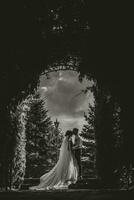 portrait de le la mariée dans la nature. silhouette noir et blanc photo. une brunette la mariée dans une blanc robe et une élégant jeune marié dans une noir costume sont permanent à le porte. magnifique cheveux et se maquiller. photo