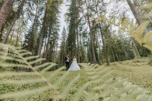 à la mode jeune marié et mignonne la mariée dans blanc robe avec train et couronne sur tête en marchant Heureusement dans parc, jardin, forêt en plein air. mariage la photographie, portrait de souriant jeunes mariés. photo