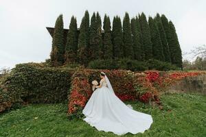 magnifique la mariée contre le Contexte de l'automne feuilles et grand des arbres. grand angle photo de le la mariée dans une robe avec une longue train