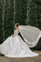 portrait de une magnifique la mariée avec une voile dans une volumineux mariage robe et professionnel se maquiller. fermer portrait de une Jeune magnifique la mariée. mariage. photo