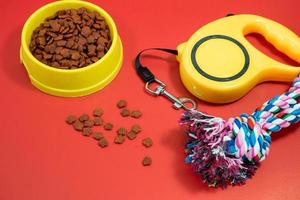 concept d'accessoires pour animaux de compagnie. gamelles avec nourriture, laisse automatique, corde pour chien photo