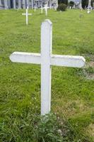 vieille croix blanche au cimetière photo