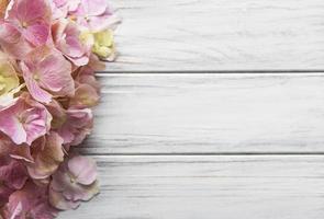 Fleurs d'hortensia rose sur fond de bois blanc photo