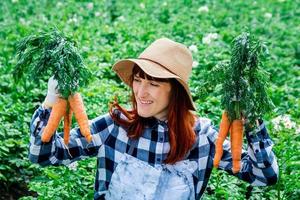 agricultrice détient un tas de carottes sur fond potager