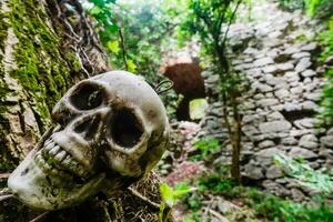 crâne pendaison sur une arbre près une vieux Château dans le forêt photo