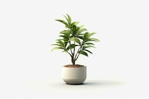 ai généré mis en pot plante sur isolé blanc Contexte. ai généré photo