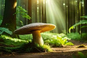 ai généré une champignon dans le forêt photo