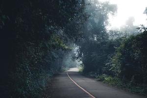 la route dans la forêt était brumeuse le matin. photo