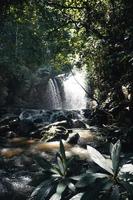 cascade dans une forêt tropicale pendant la journée