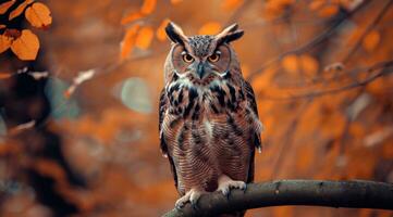 ai généré une grand hibou séance sur une arbre branche photo