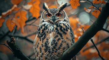 ai généré une grand hibou séance sur une arbre branche photo