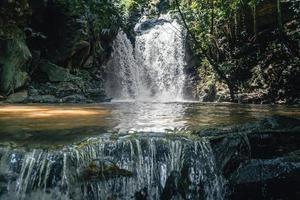 cascade dans une forêt tropicale pendant la journée photo