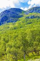 panorama de paysage de montagne et de forêt à la journée ensoleillée de vang norvège.