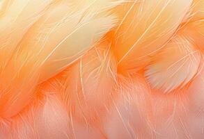 ai généré un Orange fourrure texture proche en haut, numérique manipulation photo