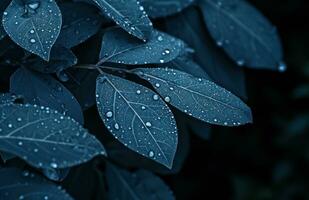 ai généré bleu feuille avec pluie gouttelettes dans le Contexte photo