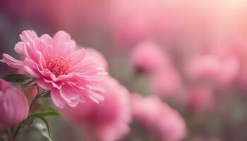 ai généré rose fleurs dans une champ avec flou Contexte photo