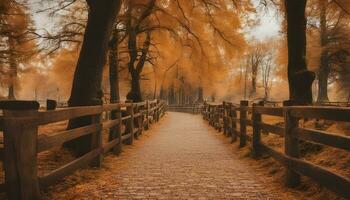 ai généré une chemin dans le les bois avec des arbres et brouillard photo