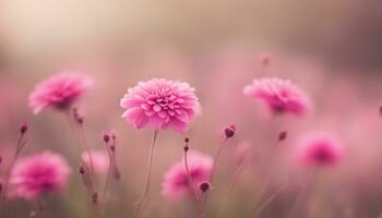 ai généré rose fleurs dans une champ avec une floue Contexte photo