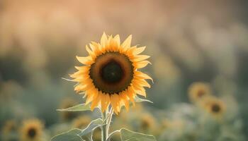 ai généré une tournesol est permanent dans une champ avec floue Contexte photo