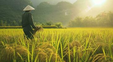 ai généré un de le ouvriers dans une champ de riz photo