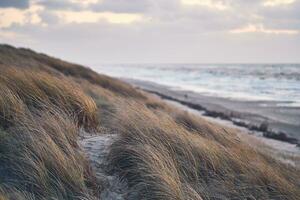 dunes à danois littoral dans hiver photo