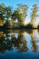 reflétant des arbres à une au bord du lac dans le les bois dans brillant Matin lumière photo