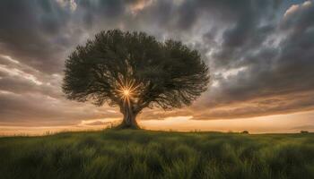 ai généré une arbre des stands dans une champ avec le Soleil réglage derrière il photo