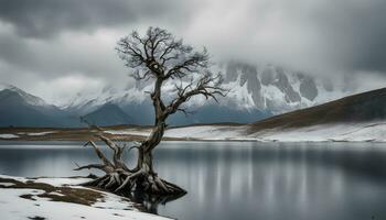 ai généré une seul arbre des stands dans le milieu de une Lac photo