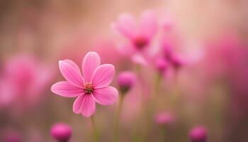 ai généré rose cosmos fleurs dans une champ avec flou Contexte photo