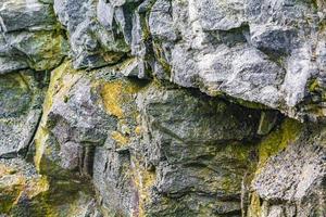 texture de roche en pierre avec de la mousse jaune verte et du lichen norvège. photo