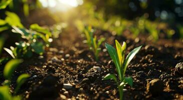 ai généré petit semis croissance dans le sol photo