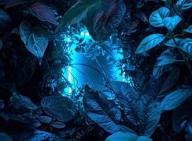 ai généré une bleu lumière Cadre cette est entouré par foncé vert feuilles photo