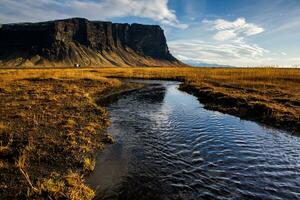 pittoresque paysage avec vert la nature dans Islande photo