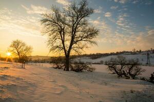 glacial hiver dans Russie. magnifique lever du soleil dans Sibérie. du froid hiver photo. photo