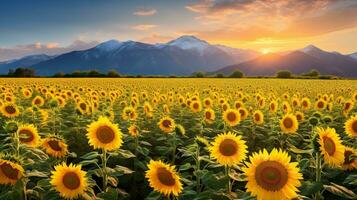 ai généré tournesol champ contre Montagne toile de fond - ai généré photo