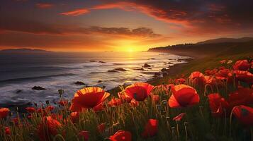 ai généré face à l'océan coquelicot champ à le coucher du soleil - ai généré photo