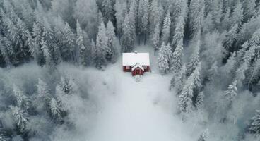 ai généré aérien vue de une rouge maison dans hiver forêt photo