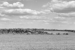 beau paysage d'horizon dans la prairie du village sur fond naturel de couleur photo