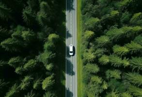 ai généré aérien vue de une route dans une forêt route photo