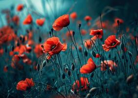 ai généré un image spectacles une champ de rouge coquelicots photo