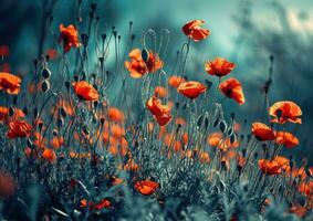 ai généré un image spectacles une champ de rouge coquelicots photo