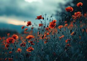 ai généré un image spectacles une champ de rouge coquelicots photo