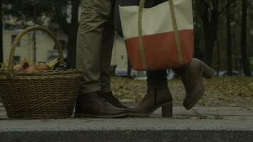 couple dans Extérieur avec pique-nique panier, embrasser. femme soulève sa jambe. homme et femme permanent en plein air ou dans le parc et femme élever sa jambe photo